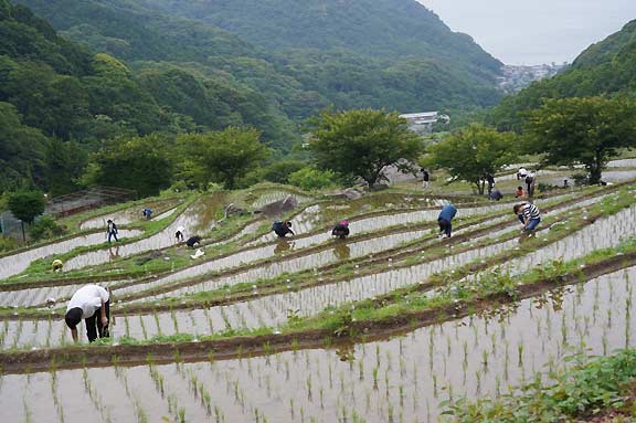 松崎町