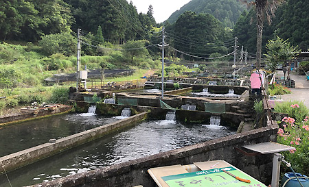 下山養魚場