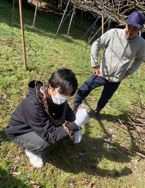 写真②佐藤農園での作業